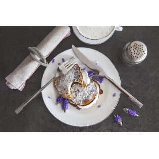 Lot de 6 Couteaux de table en inox Fiori