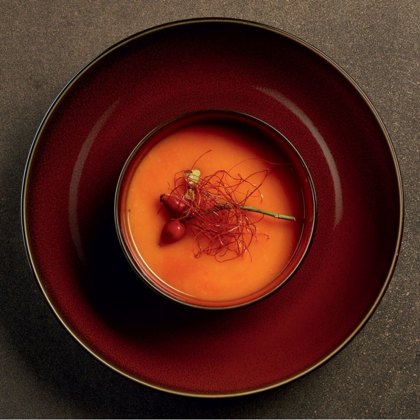 Assiette creuse gourmet- D 24 cm Rouge - Kolibri Rusty Red