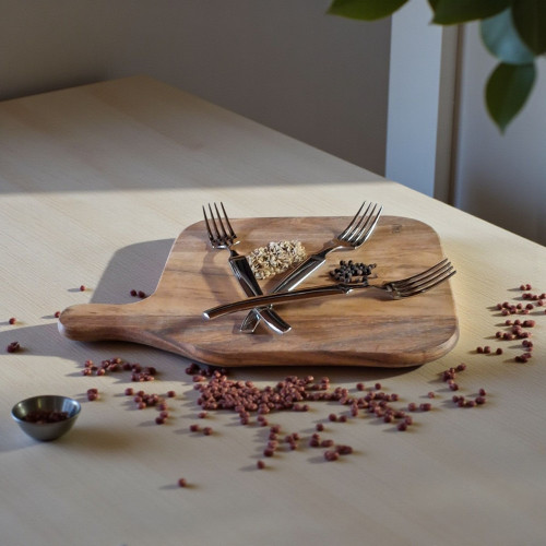 Lot de 6 fourchettes à viande en inox Texas