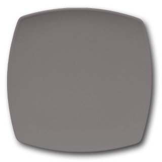 Assiette présentation porcelaine Gris - L 31 cm - Tokio